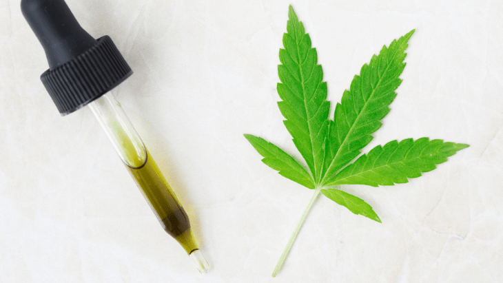 South Carolina Senate Advances Medical Cannabis Legislation