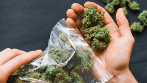 legal cannabis flower