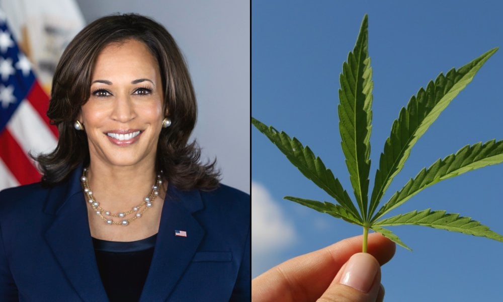 VP Harris To Meet With Marijuana Pardon Recipients At White House This Week As Biden Leans Into Issue Ahead Of Election