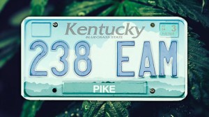 Kentucky marijuana laws
