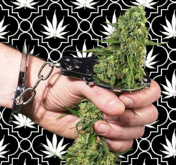Criminalizing Cannabis Doesn't Work at All - Marijuana Use Identical in Legal and Non-Legal Weed States New Gallup Poll Shows