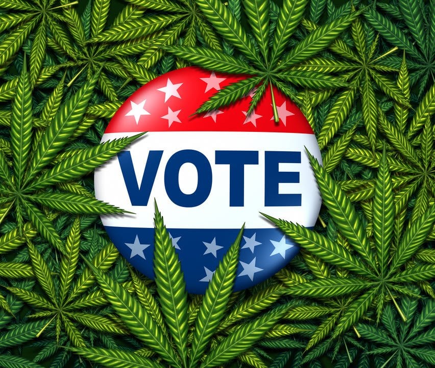 I Vote with My Bong - Survey Says Cannabis Fans Don't Care If You Are A Republican or Democrat , They Vote on Pot Legalization