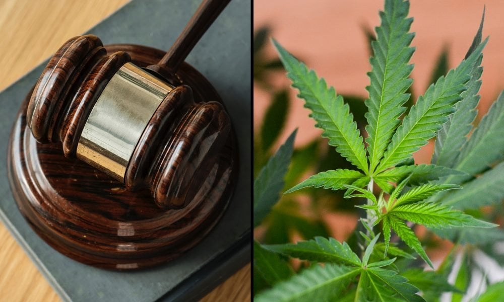 Marijuana Company Claims DEA Review Process Is Unconstitutional In New Federal Lawsuit
