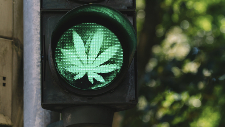 NORML Op-Ed: State-Level Marijuana Legalization Has Been a Stunning Success