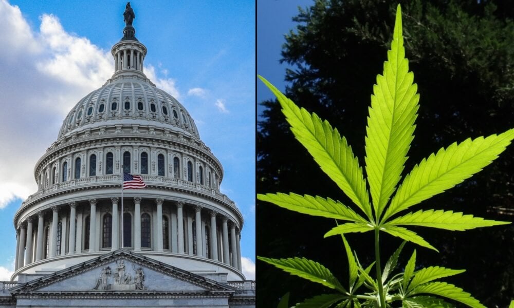 This Will Be The ‘Last 4/20 Celebration’ With Marijuana Still In Schedule I, Congressman Says, While Predicting House Action On Cannabis Banking Bill